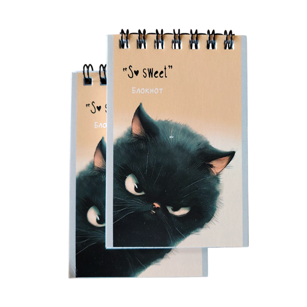 Купить Блокнот "Забавные котики" - фото 1