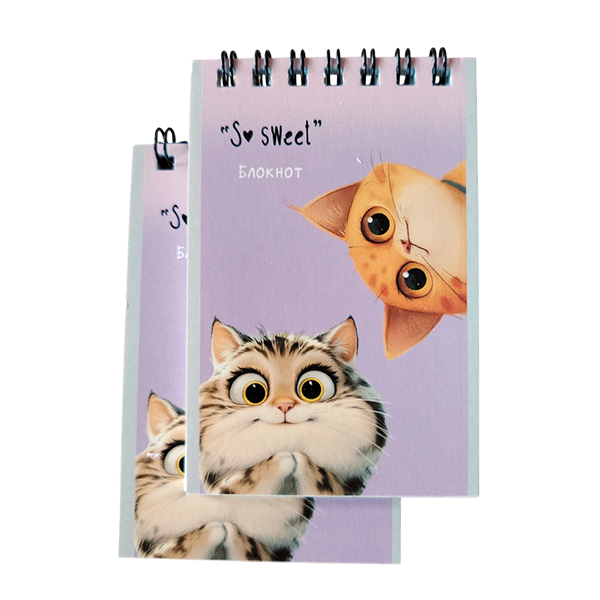 Купить Блокнот "Забавные котики" - фото 3